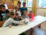 IMG_20200121_085055