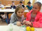 IMG_20200121_091623