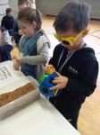 IMG_20240312_085931